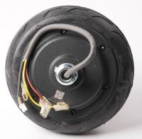 SEGWAY NINEBOT Motoren                                                      AB00001089