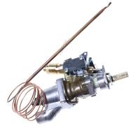 Bertazzoni Thermostats                                                  503104