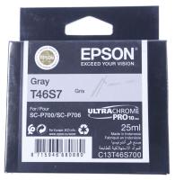 Epson Inktpatronen                                                 C13T46S700