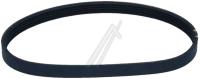 Amica Poly-v-snaar                                                 1034598