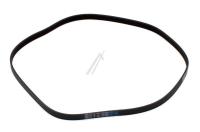HISENSE/GORENJE Snaar                                                        HK2307181