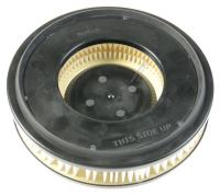 Nilfisk Stofzuigerfilter                                             107409006