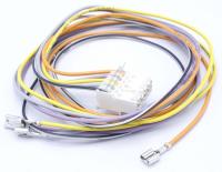 Boschsiemens Kabelboom                                                    00420695