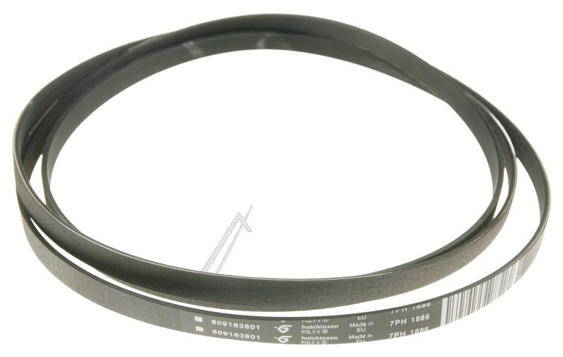 ELECTROLUX / AEG Snaar                                                        8091838014