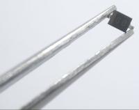 Yamaha Diodes zener                                                 WS695200