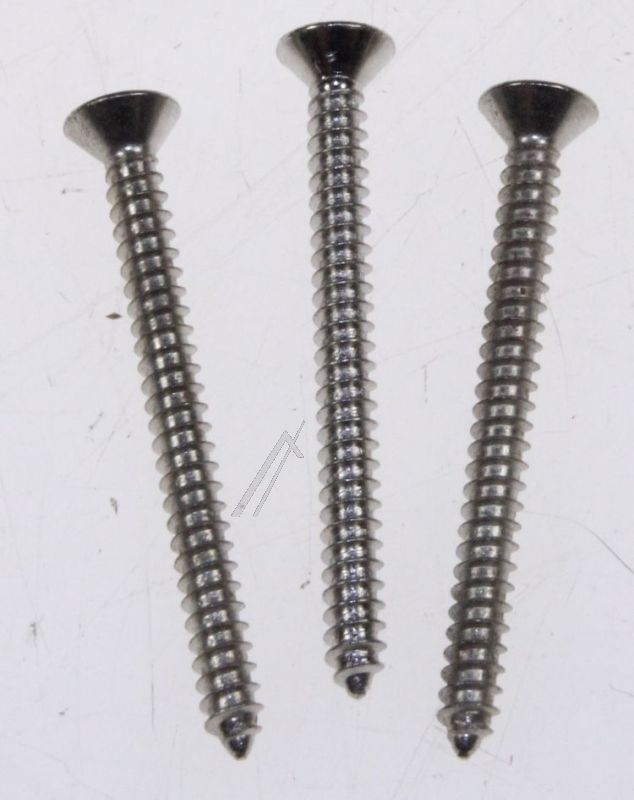 Boschsiemens Schroef                                                      00170000