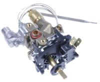 Amica Thermostaten                                                 8042903