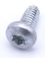 Boschsiemens Vis                                                          00423435
