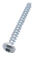 Saeco Schroef                                                      421940212391