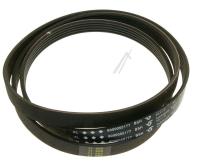 Boschsiemens Snaar                                                        00660579