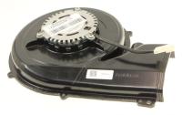 Haier Motoren                                                      49055755