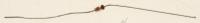 - Zenerdiodes                                                  