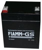 FIAMM 12,0v loodgel accu tot 10ah                                  FG20451