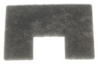 DeLonghi Luchtfilter                                                  AT5185391700