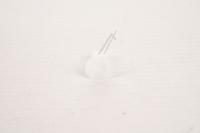 DeLonghi Koppeling                                                    AS00003015