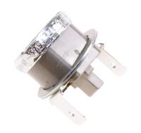 Saeco Thermostaten                                                 996530026954