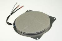 BEKO/GRUNDIG/ARCELIK Plaques induction C00888285