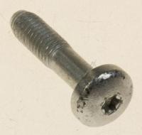 Boschsiemens Schroef                                                      00169525