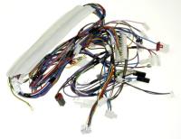 BEKO/GRUNDIG/ARCELIK Faisceaux de cables                                          C00880943