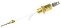 Philips Temperatuurvoelers                                           423902186972