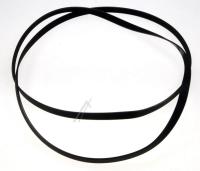 Boschsiemens Snaar                                                        00437367