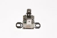 Boschsiemens Temperatuurbegrenzers                                        00420754
