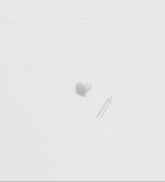 Smeg Stoppen                                                      768452242