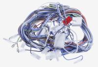 HISENSE/GORENJE Faisceaux de cables                                          799001