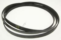 HISENSE/GORENJE Poly-v-snaar                                                 562036