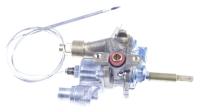 Amica Thermostate                                                  8042902