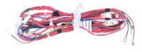 HAIER/CANDY/HOOVER Kabelboom                                                    43038004
