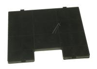 Amica Kohlefilter                                                  1060042