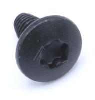 Boschsiemens Vis                                                          00172646