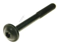 Boschsiemens Schroef                                                      00638629