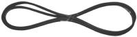 WHIRLPOOL/INDESIT Poly-v-snaar j 482000027079
