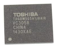 TP VISION Geheugen-ic´s                                                100TPKMM003B3X