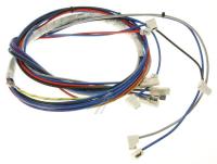 Smeg Faisceaux de cables                                          820733832