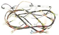BEKO/GRUNDIG/ARCELIK Faisceaux de cables                                          C00881048