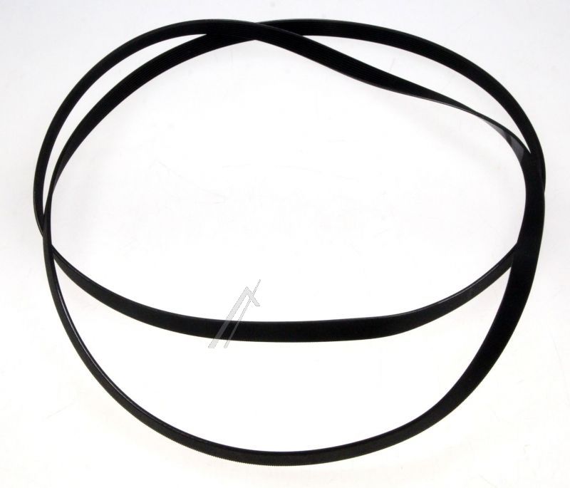 Boschsiemens Snaar                                                        00437367