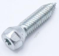 Boschsiemens Schroef                                                      00612789