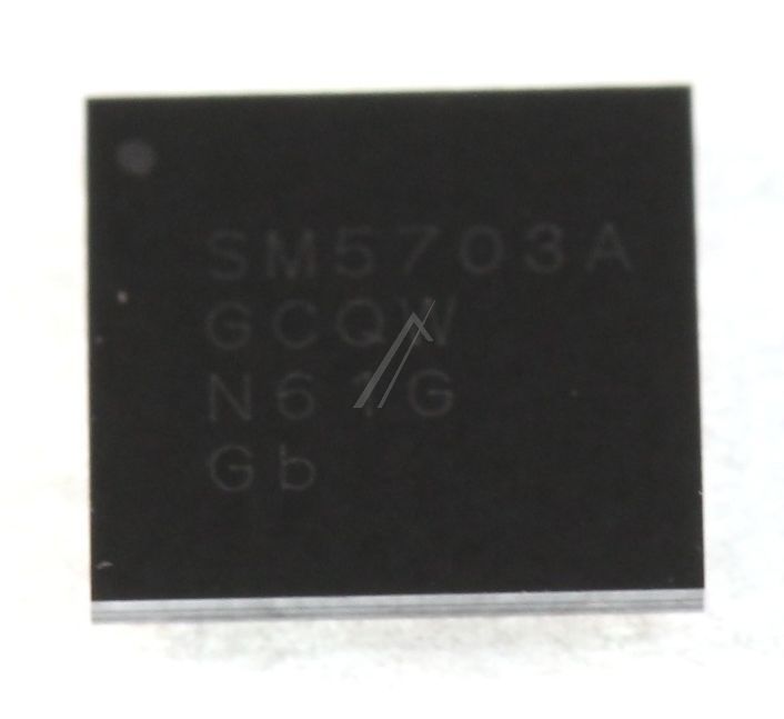 Samsung Circuits integres                                            1203008646
