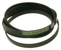 Boschsiemens Snaar                                                        00096426