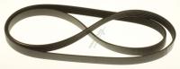 Boschsiemens Snaar                                                        00494070