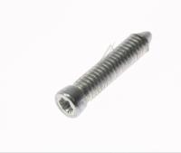 WHIRLPOOL/INDESIT Vis                                                          482000030979