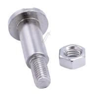 Boschsiemens Schroef                                                      10009830
