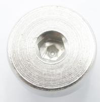 Boschsiemens Schroef                                                      10000744