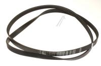 Boschsiemens Snaar                                                        00494415