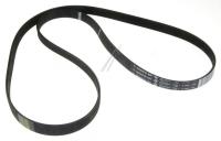 Boschsiemens Snaar                                                        00740630