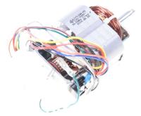 HISENSE/GORENJE Motoren                                                      712446