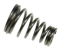 DeLonghi Ressorts                                                     6113211931